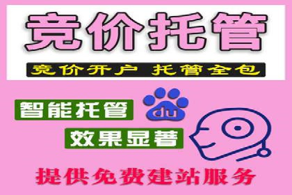 提升转化率：SEM运营的五大经典案例分享